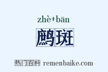 鹧斑是什么意思的图片